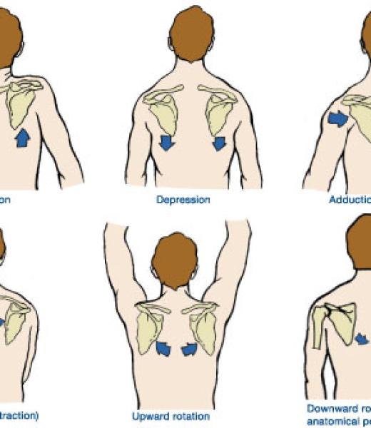 6866b38287f9167032ded245_protraction-and-retraction